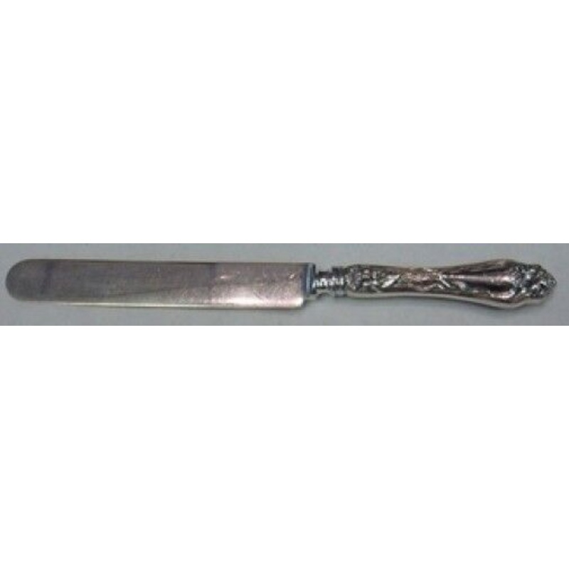 Narcissus by Lunt Sterling Dinner Knife Blunt 9 1/2" Flatware