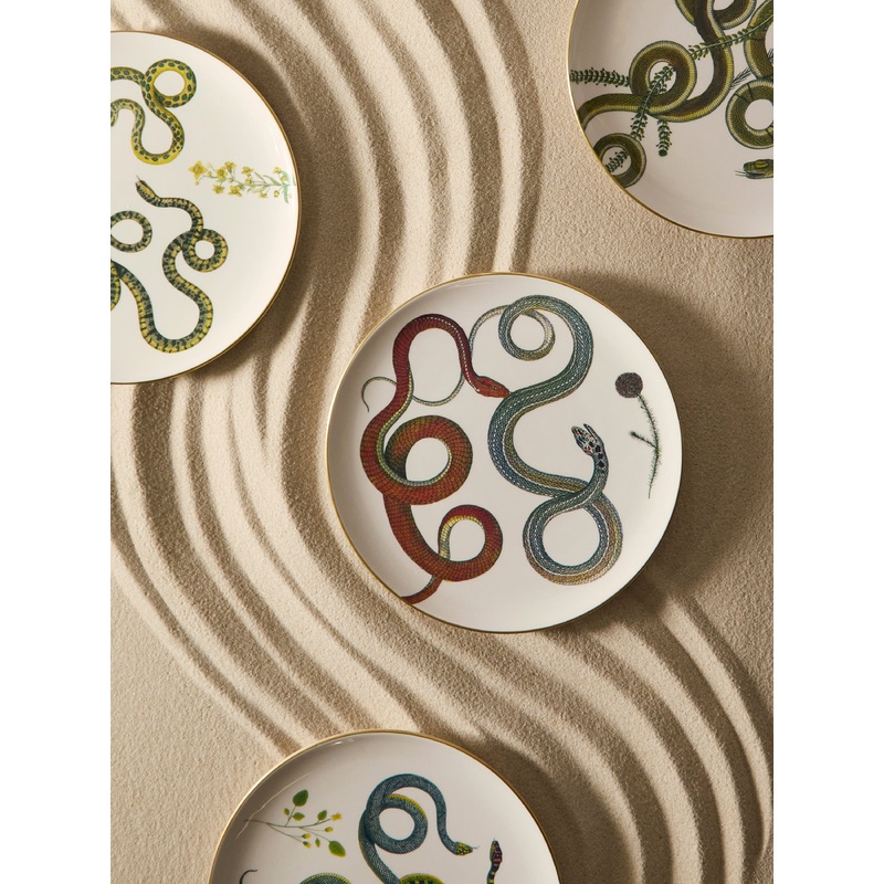 Serpi Ceramic Dinner Plates (Set of 6)