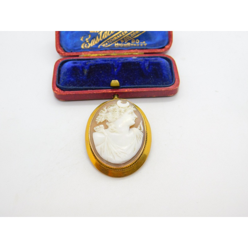 Victorian 9ct Yellow Gold Framed Carved Shell Cameo Brooch Antique c1880