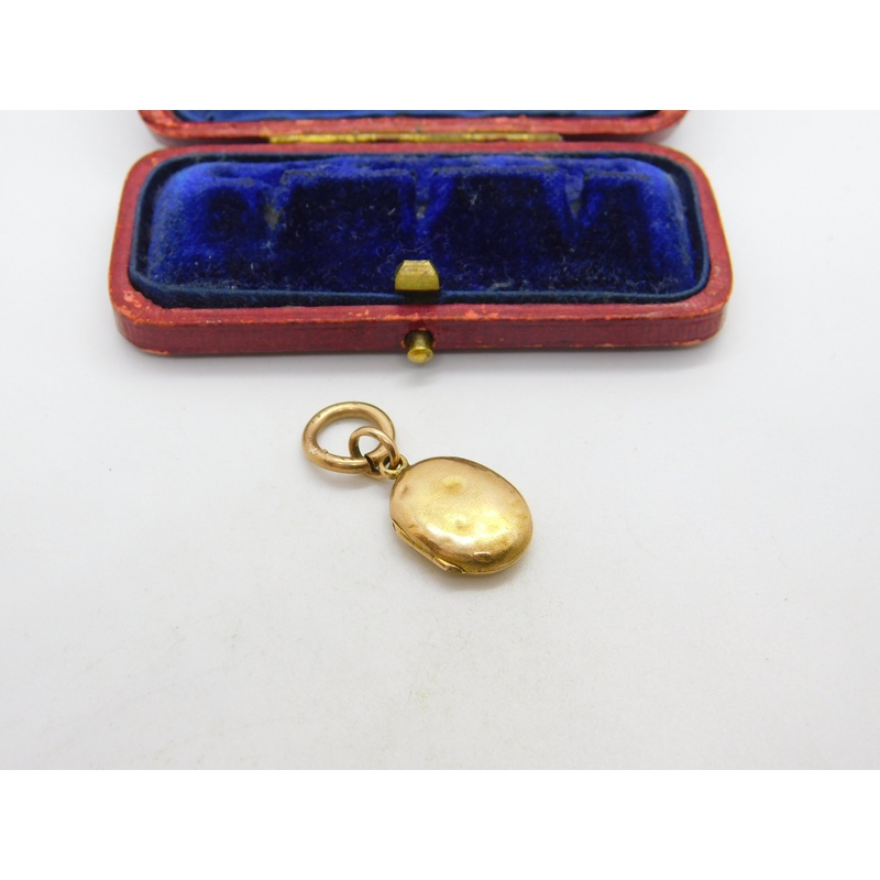 Georgian 9ct Yellow Gold Small Hair Weave Mourning Locket c1830 Antique
