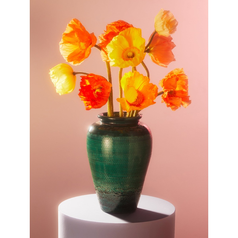 1950s Bitossi by Aldo Londi Ceramic Vase