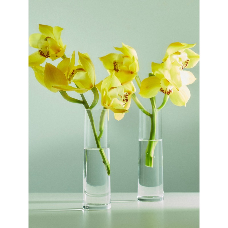 Hand-Blown Crystal Orchid Bud Vases (Set of 2)