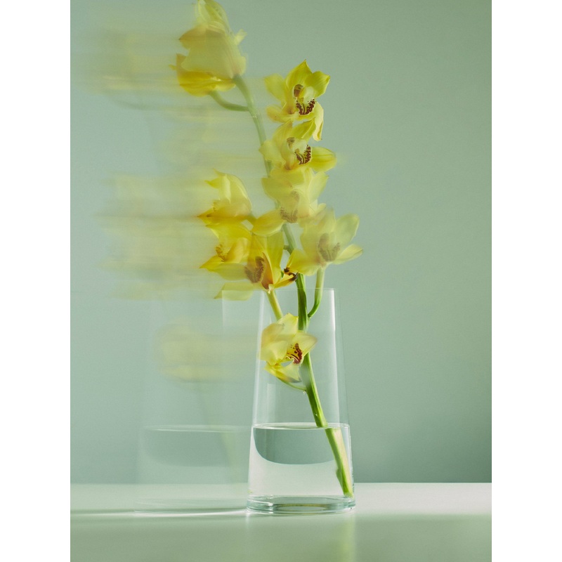 Hand-Blown Crystal Queen Anne's Lace Vase