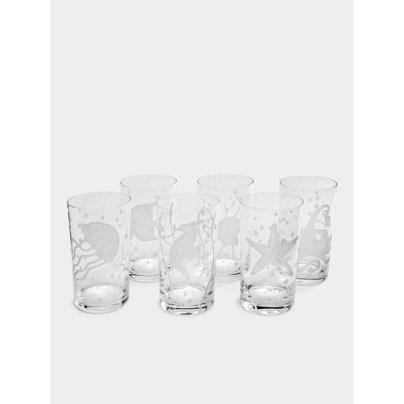 Sea Life Hand-Engraved Crystal Tall Tumblers (Set of 6)